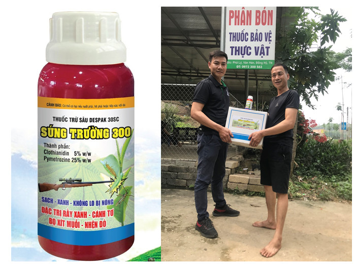 Một số loại sâu hại chính trên cây chè và biện pháp phòng trừ hiệu quả