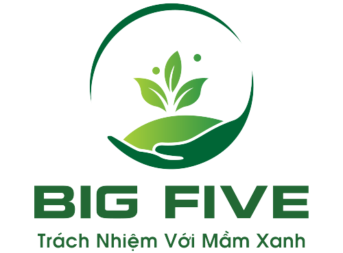 Công ty cổ phần Big Five