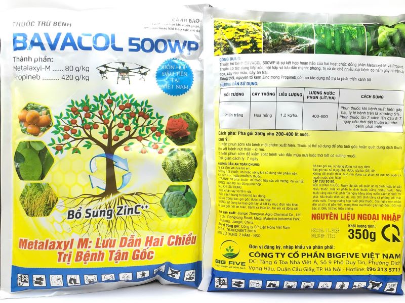BAVACOL 500WP – GIẢI PHÁP TỐI ƯU CHO BỆNH CHẾT ẺO TRÊN DÂU TÂY