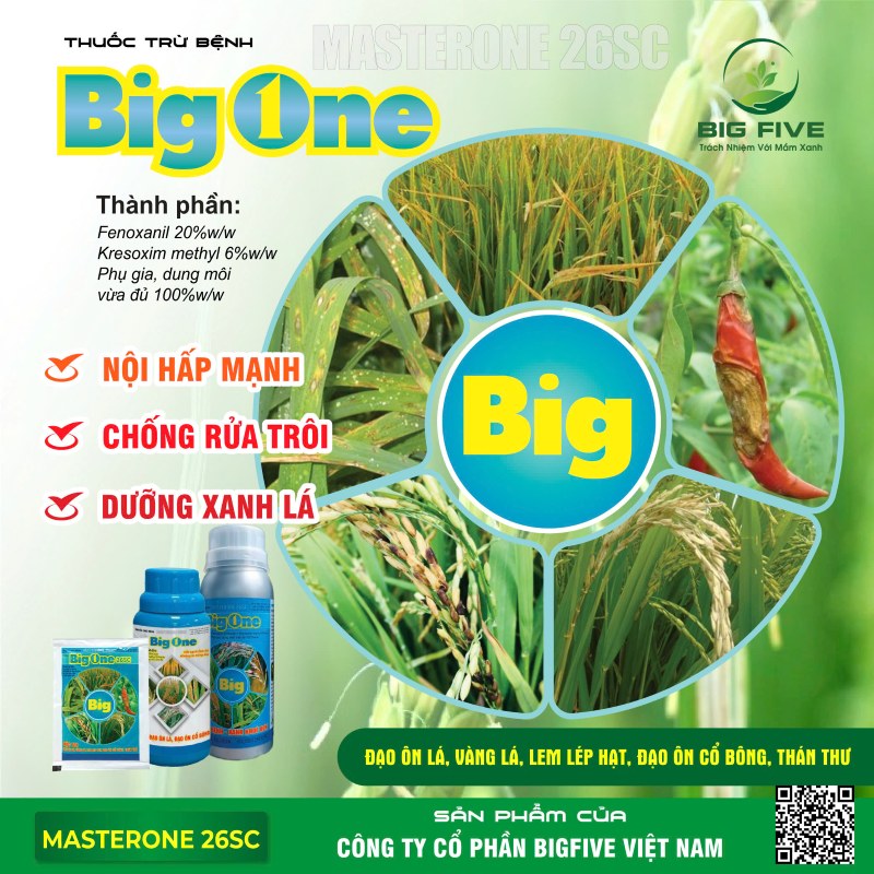 THUỐC TRỪ BỆNH BIGONE ĐẶC TRỊ ĐẠO ÔN LÁ, VÀNG LÁ, LEM LÉP HẠT