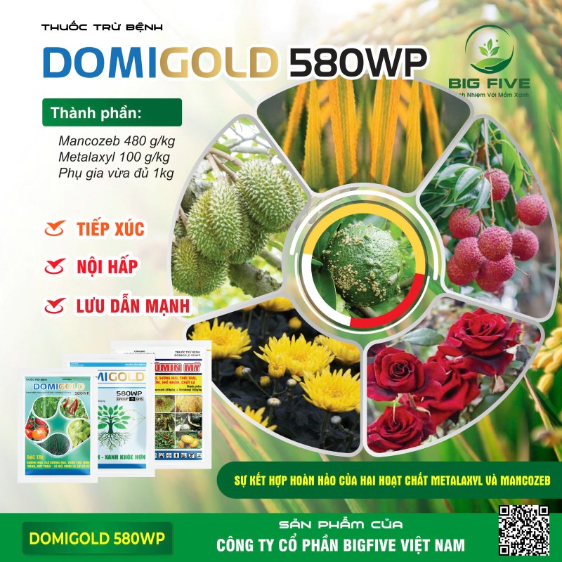 THUỐC TRỪ BỆNH DOMIGOLD 580WP