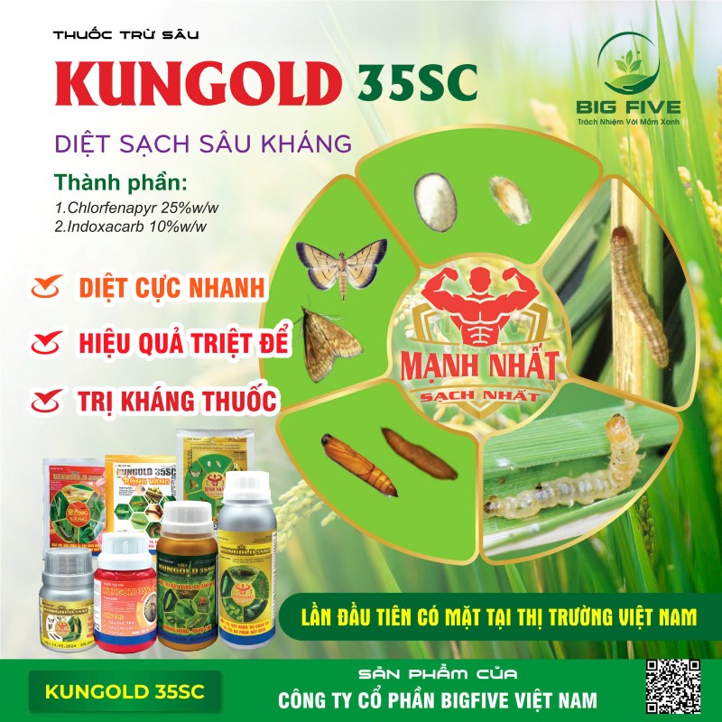 KUNGOLD 35SC – THUỐC TRỪ SÂU DIỆT SẠCH SÂU KHÁNG