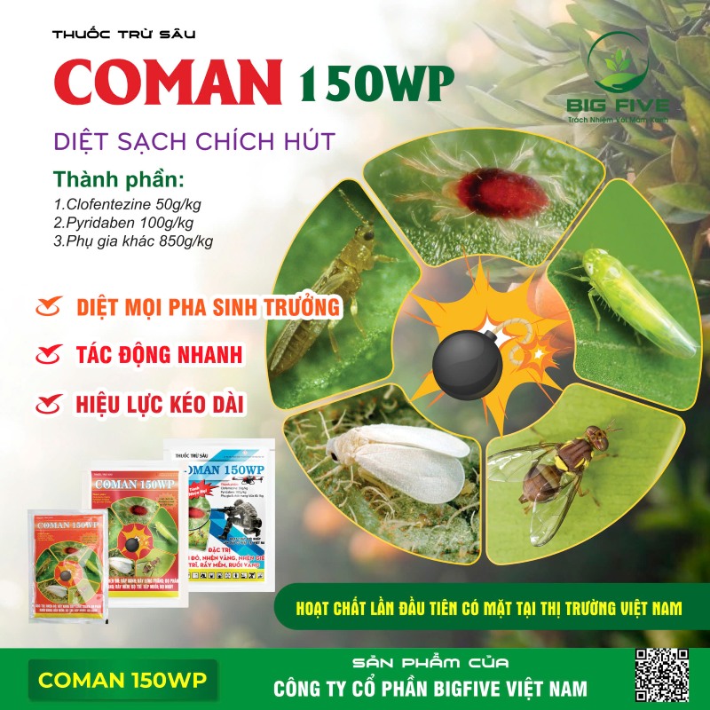 THUỐC TRỪ SÂU COMAN 150WP DIỆT SẠCH NHỆN VÀ CÔN TRÙNG HÚT CHÍCH